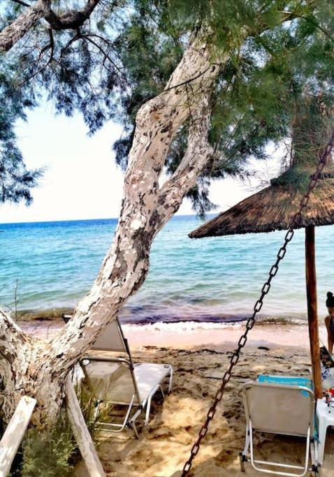 Apartment With 3 Rooms Just 1 Min From The Beach And Free Public Parking Peraía Kültér fotó